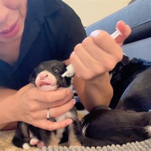 7.1K views | Rachel Fusaro on Reels | Facebook