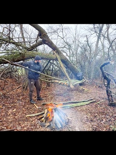 Overnight Camping Setup in the Deep Forest