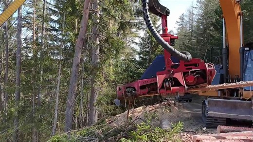 Watch Powerful Tractor and Excavator Team Up for Forestry Work