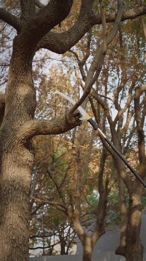 Essential Hand Tools for Garden Maintenance