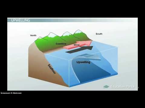 Ocean Circulation: Patterns & Effect on Climate