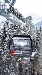 Bereit für den Winter 2025/26? 🚠❄️ Neue 10er-Gondelbahn. Neue Abfahrten. Mehr Komfort. Mehr Pistenspaß! Die Vorfreude steigt – in wenigen Wochen heißt’s endlich wieder: Skifahren in Berwang-Bichlbach! Dieses Jahr mit der brandneuen „Oberen Karbahn II“ – für das nächste Level an Skigenuss! ⛷️ 👉 Wintersaisonstart: 19. Dezember 2025 Der Countdown läuft! 😎 #berwang #bergbahnenberwang #gondelbahn #skigebiet #schneesicher #wintersaisonstart #tirolerzugspitzarena #bichlbach #skiing #skifahreninöster