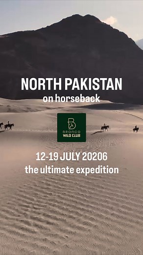 🔥 One of the Most Beautiful Places on Earth! Pakistan Horse Expedition 🇵🇰 New dates: 12 July – 19 July 2026 | 🏇 A destination where almost no one has ever ridden before. On the purebred Arabians of our friends, we cross the highest cold desert in the world, riding beneath the mighty 7000m peaks of the Karakoram. 🏔️✨ Nights are a fairytale - sleeping in centuries-old fortresses and traditional guesthouses, surrounded by history, culture, and landscapes that feel untouched by time. This is no