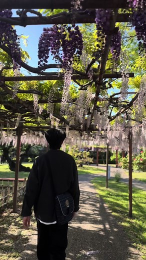 Top 10 Nepali TikTok Songs 2024 | Viral Nepali Songs on TikTok