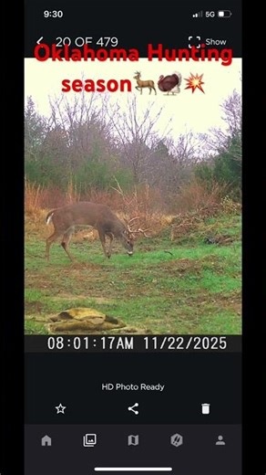 Trail cam from the 80 acre property. #hunting #fishing #deer #buck #doe #turkey #huntingseason