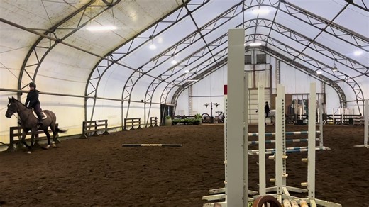 First jumping lesson on this beauty 💗💗💗💗 #barn #horses #jumpinglesson #fyp #foryoupag ❤️