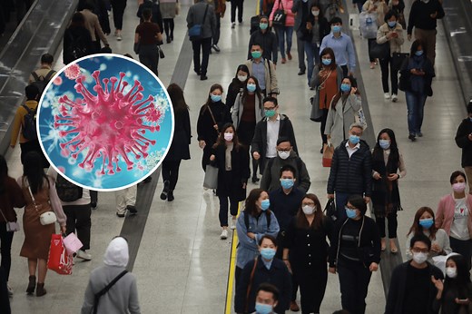 HMPV: China’s New Virus Outbreak Explained