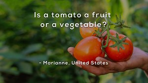  This week's question comes from Marianne! "Ketchup" on your fruits and veggies in a NEW mini-lesson: https://mysteryscience.com/mini-lessons/tomato-fruit-or-vegetable?s=social:facebook-tomato&utm_source=facebook&utm_medium=social_post&utm_campaign=202300905-tomato | Mystery Science | Facebook