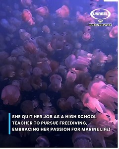 From boardrooms to blue waters: Discover stress relief through freediving!