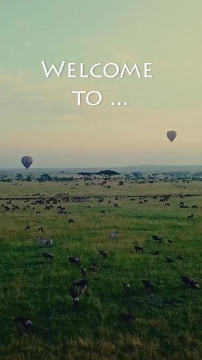 Explore Serengeti National Park: A Safari Adventure
