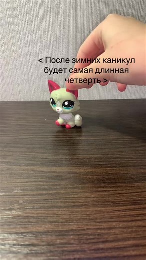 #lerapetshop #petshop #fyyyyyyyp #fypシ゚viral #meow