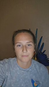 11 reactions | Harness education on the type of harness we use and...