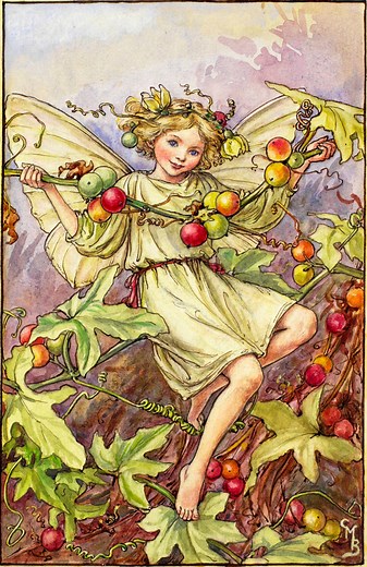 News & Events - Flower Fairies