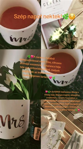 Voorgestelde accounts