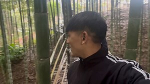 6.8K views · 83 reactions | Ajj mein Visit kiya hoon Yachuli Chinese Bomboo garden near forest gate. #tourism #touristAttu Ruhhu Attu RuhhuArunkumar Singh@highlightRido MythTam Ram | Nguri John | Facebook