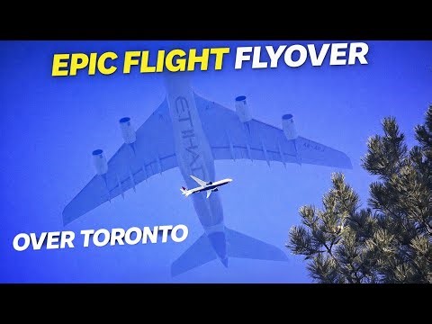 Epic Flight Flyovers Over Toronto ✈️ Etihad, Qatar, Air Canada & More | #youtube #aviation 