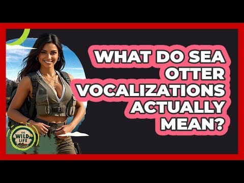 What Do Sea Otter Vocalizations Actually Mean? - The Wild Life Explorer