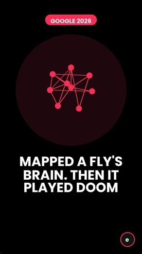 Scientists Mapped A Fly's Brain. Then The Internet Made It Play Video Games #didyouknow #facts