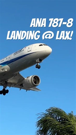 ANA 787-8 Dreamliner | Plane Spotting @ LAX Landing!