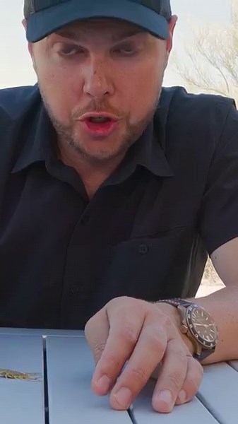 The Devastating Impact of a Bark Scorpion Sting