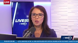 What to know about monarch butterfly migration season