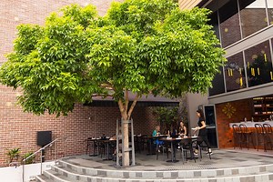 Monal Dining Newstead | Must Do Brisbane