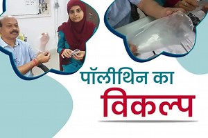 ALTERNATIVE TO POLYTHENE : पॉलिथिनला पर्याय सापडला.. शास्त्रज्ञांनी धानाच्या भुसापासून बनवले बायोडिग्रेडेबल शीट