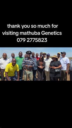 Mathuba genetics (@emmanuelmudau33)’s videos with original sound - Mathuba genetics