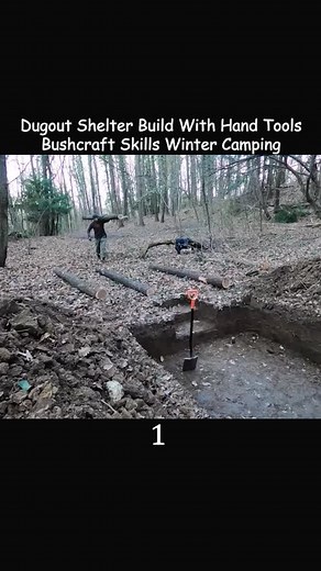 Outdoor Construction Skills with Pet Dog Companion