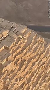 Dog is spotted on the top of the Great Pyramid of Giza in Egypt