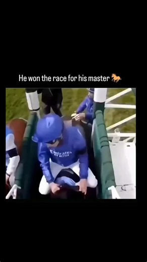 goosmeme | This video captures an unusual and dramatic moment in horse racing, where a horse crosses the finish line ahead of the field without a... | Instagram