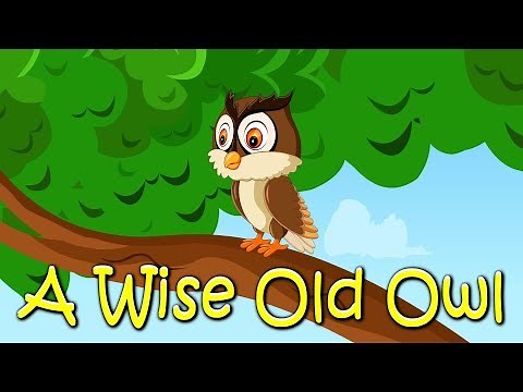 A Wise Old Owl Story | Popular Nursery Rhyme