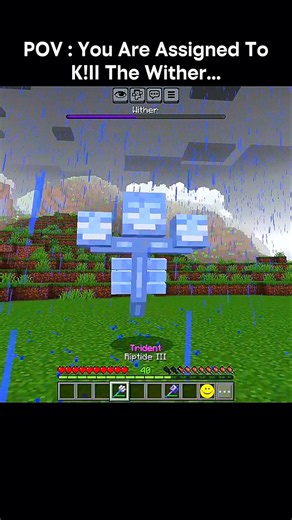 POV: You're Assigned to Kill the Wither... 💀⚔️
