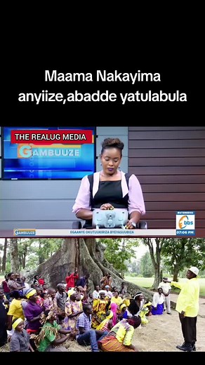 Discover Nakayima Tree: Uganda's Ancient Heritage Site