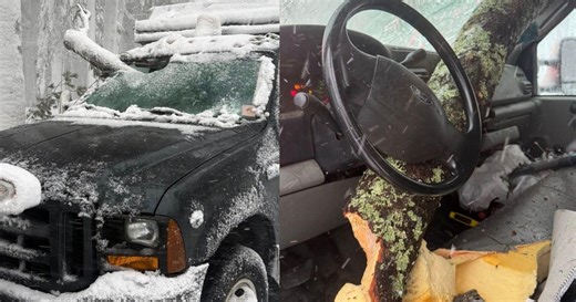 Tree branch nearly impales plow truck driver during Massachusetts blizzard