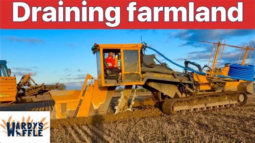 Farm update 411 Somerset floods again. How field drains are put in gravel on top, Rare bird visits | Andrew Ward MBE