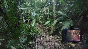 32K views · 1.3K reactions | PATAY KUNG PATAY MALIGTAS KALANG ALPHA GHOST 01 | TAONG BUKID tv | Facebook