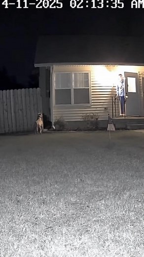 “A normal night turned into horror when a strange creature appeared outside the house and attacked the pet dog. CCTV recorded everything—every shadow, every sound, every terrifying moment. Watch till the end… if you can.” #ScaryReels #CCTVFootage #MysteriousCreature #DogAttack #NightHorror #UnexplainedVideos #DontWatchAlone #viralreels | Grumbo