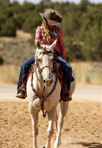 Now is your time! SaddleBook gives riders and event producers the tools they need to keep everything running smoothly. Visit SaddleBook.com to get started! #UnleashYourPotential with #SaddleBook #LetsRide!