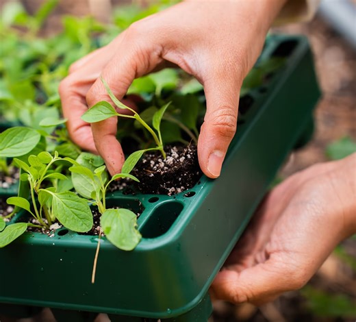 The Top 10 Spring Gardening Essential Tools