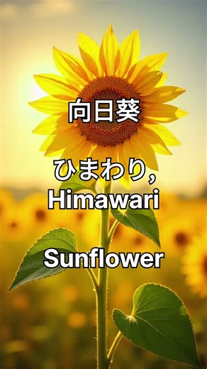 植物（しょくぶつ / Shokubutsu）– Plants 🌱🌼