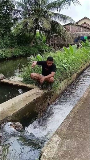 microfishing,dutch fishing..#shorts