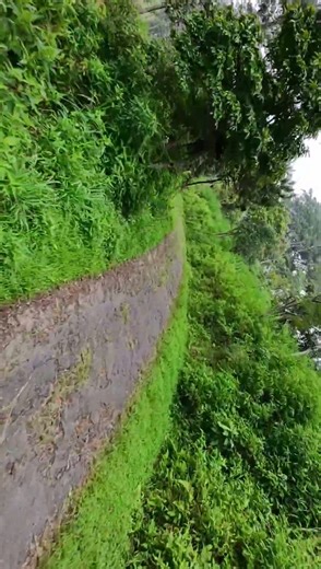 A small road with a cliff beside it #travel #nature #drone