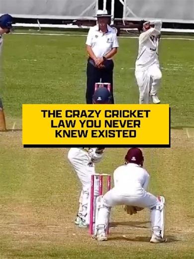 Have you ever seen a cricket dismissal like this?! #cricket #lovecricket #cricketvids #mcc #fyp