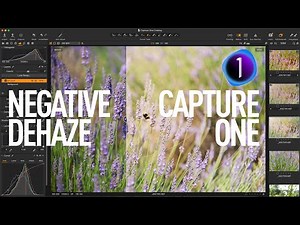 Capture One Tutorial: Soft Light Effect with Negative Dehaze