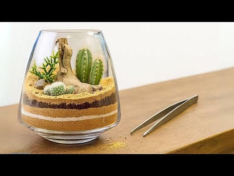 DIY Desktop Desert: Step‑by‑Step Cactus Terrarium Tutorial for Beginners
