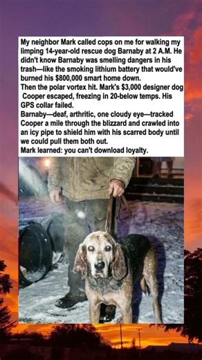 Barnaby Was Deaf and Broken… He Saved Cooper Anyway 🐾💔