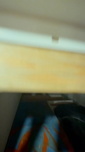 3.5K views · 55 reactions | New cage update | The Legend Lizards | Facebook