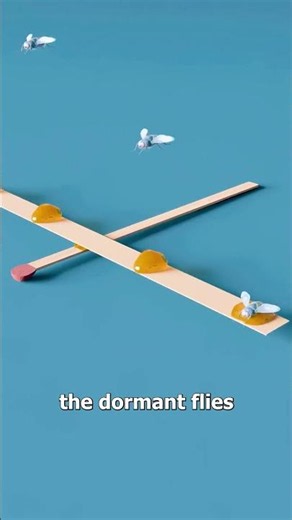 How to Build a Fly-Powered Micro Plane 🪰✈️