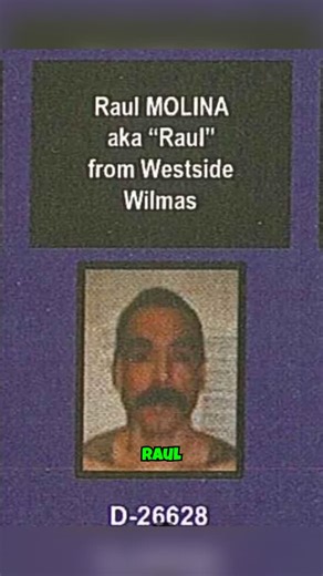 Real Crime Stories Daily on Instagram: "A Wilmas lifer… allegedly elevated into La Eme… and STILL being talked about like he runs things from behind the wall. 🧱💣 Then MoneySign Suede gets killed in prison—and the internet immediately points at Raul Molina. To be clear: nothing official has publicly charged him in Suede’s case. Do you believe the rumors… or is this just clout chasing? 👇 #realcrime #truecrime #MoneySignSuede #RaulMolina #WestsideWilmas #LaEme #PrisonPolitics #CaliforniaCrime #G